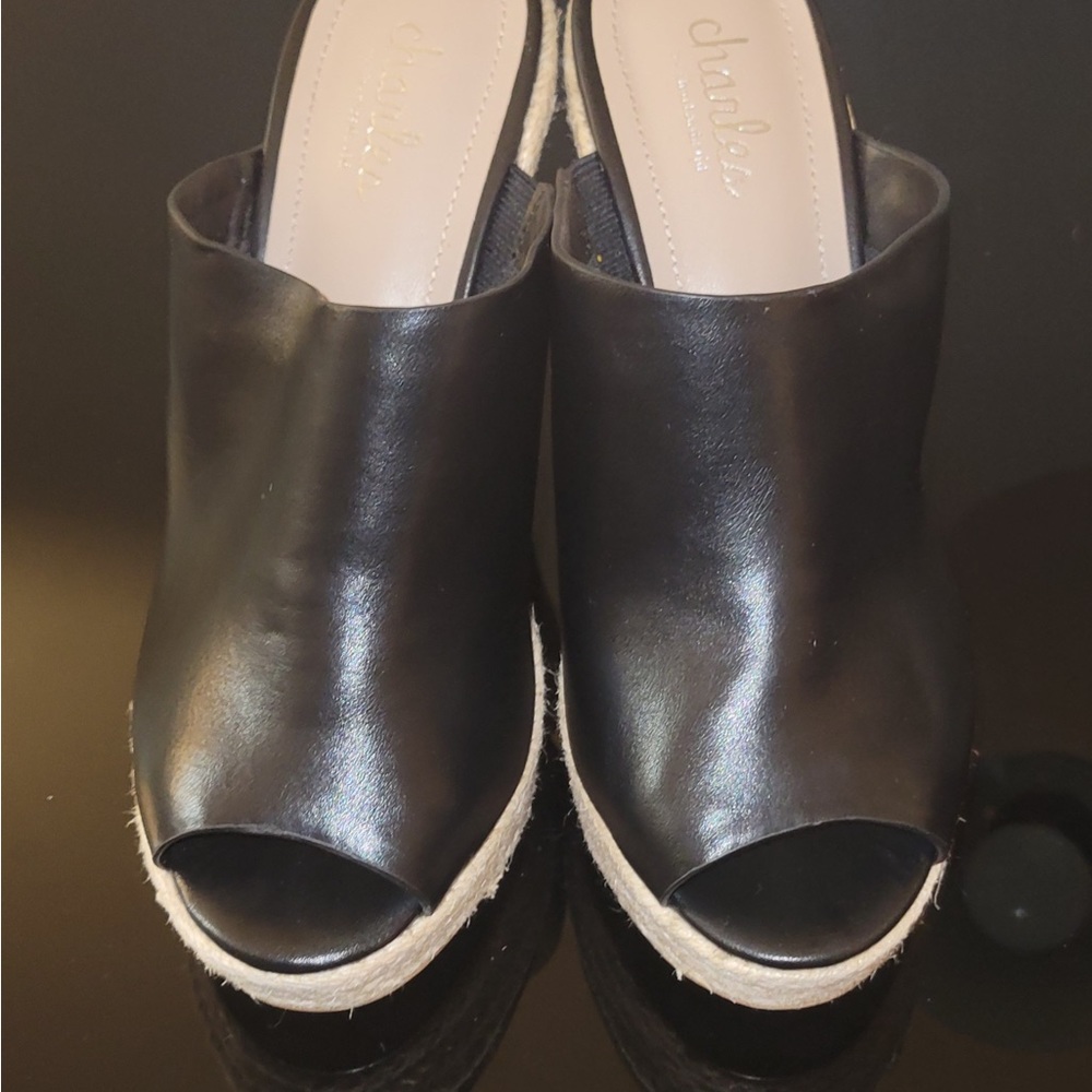 Charles by Charles David wedges